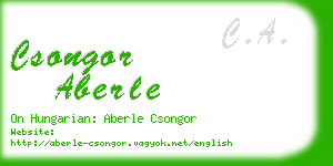 csongor aberle business card